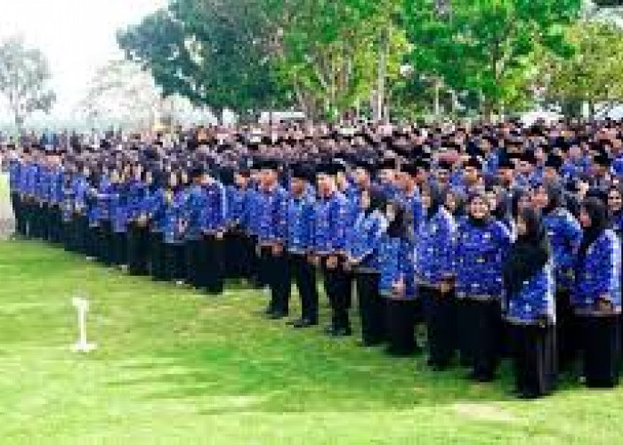 Latsar Masih Berlangsung, SK 100 Persen CPNS Seluma Belum Diusulkan