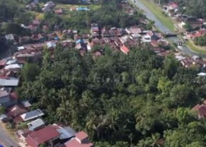 Menelusuri Potensi Enam Kecamatan di Bengkulu yang Ingin Bentuk Kabupaten Baru di Seluma, Seberapa Besar Sih?