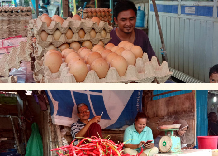 Jelang Akhir Tahun, Harga Telur dan Cabai di Bengkulu Selatan Merangkak Naik