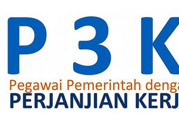 Skema Terbaik Bagi Honorer Kode 'P' Guru P1, P2, P3, PR1, PR2, Teknis dan Nakes Pada PPPK 2024