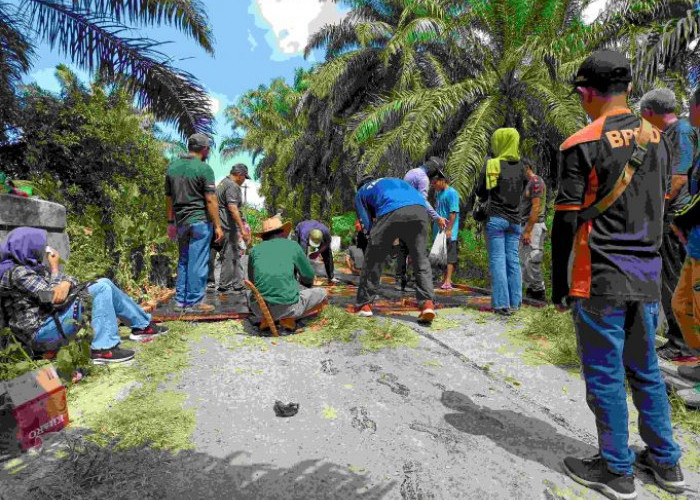 Tiga Ruas Jalan dan Satu Jembatan di Bengkulu Selatan Jadi Fokus Pembangunan Provinsi