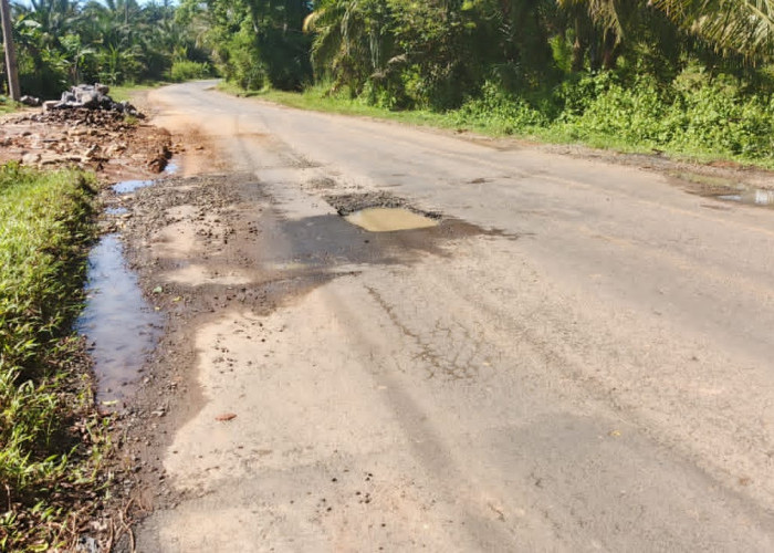 Baru Sebulan Diperbaiki, Jalinbar Bengkulu–Tais Kembali Rusak, Warga Soroti Kinerja BPJN