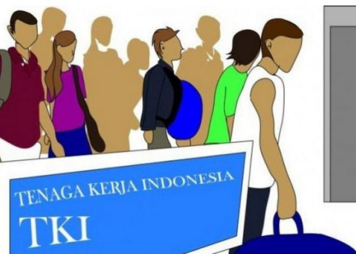 Pengusutan Kasus TPPO di Seluma, Modus Pekerja Migran Indonesia, Polisi Buru Tersangka Lain