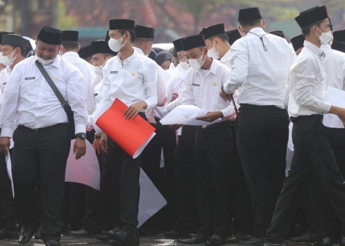 Tenaga Honorer Kategori Ini Diprioritaskan Diangkat Jadi PPPK Tahun 2024, Lengkapi Syaratnya