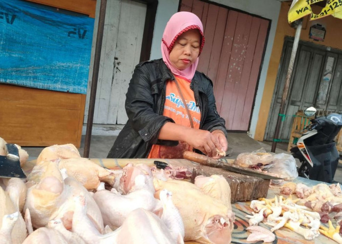 Pasca Lebaran, Harga Ayam di Seluma Masih Tinggi 