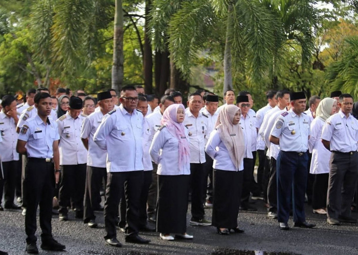 Kaur Usulkan 165 Formasi CPNS