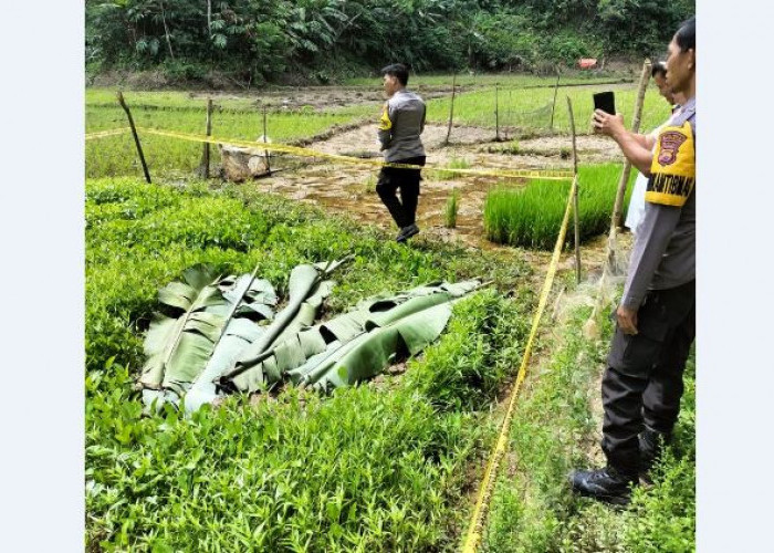 Konflik Batas Sawah yang Berujung Tewasnya 3 Petani Bengkulu Selatan Sudah Lama Terjadi, Kapolres Turun Tangan
