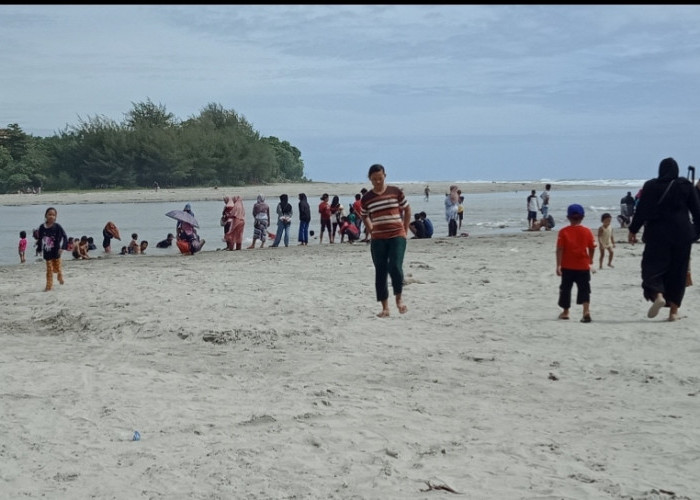 Retribusi Wisata Disorot, BKSDA Pastikan Karcis TWA Seluma Langsung Masuk Rekening PNBP