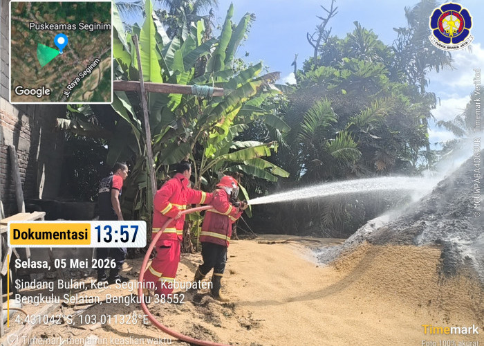 Puntung Rokok Picu Kebakaran Sekam di Seginim, Damkar Bengkulu Selatan Bergerak Cepat Padamkan Api