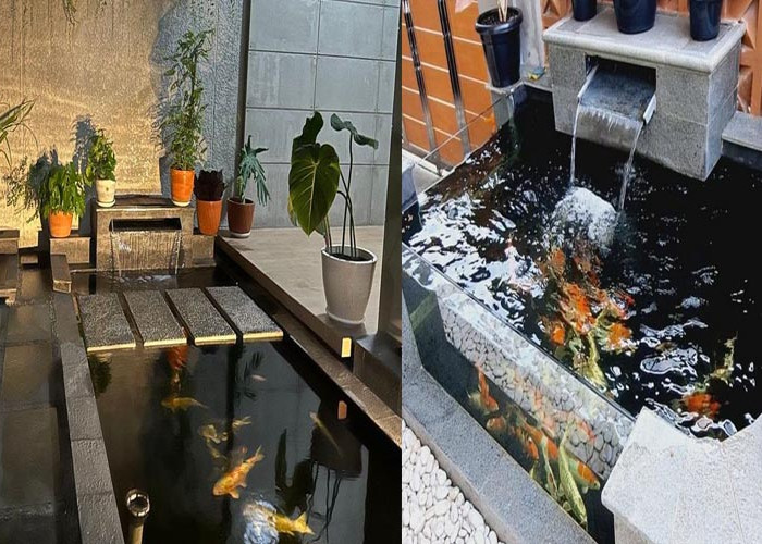 Inspirasi Kolam Ikan Koi Depan Rumah yang Estetis dan Menenangkan