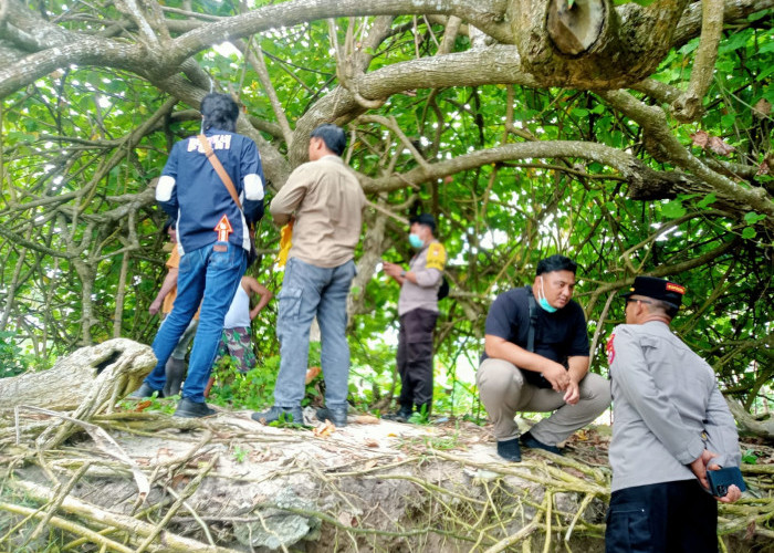 Warga Kaur Selatan Ditemukan Meninggal Dunia, Polisi Lakukan Penyelidikan