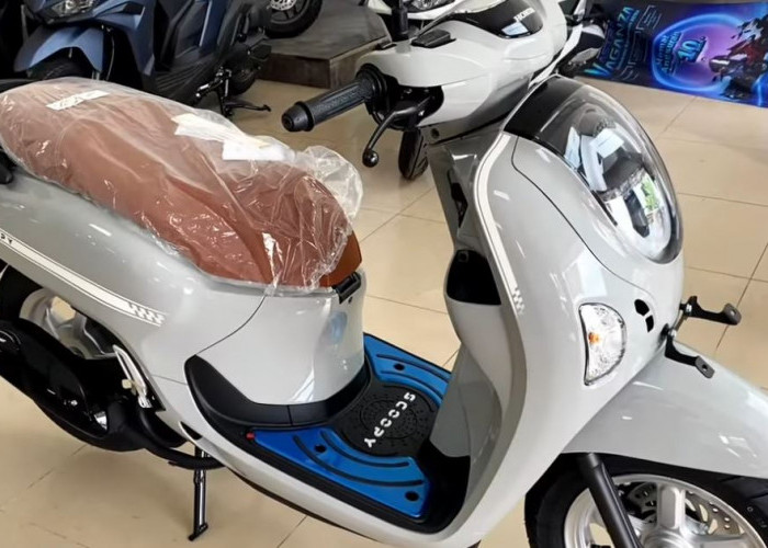 Dibanderol Rp 25,6 Juta, Honda Scoopy Stylish Grey 2026 Resmi Meluncur, Tampil Lebih Fresh dan Elegan