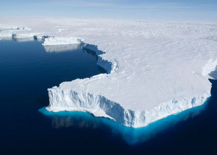 Pertanda Buruk! Gunung Es Antartika Mencair, Bunga Bermekaran di Gunung Itu, Para Ilmuan Mulai Cemas