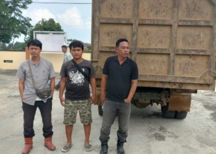 Diguga Gelapkan Buah Sawit, Tiga Karyawan PT. MSL Warga Seluma Ditangkap Polisi