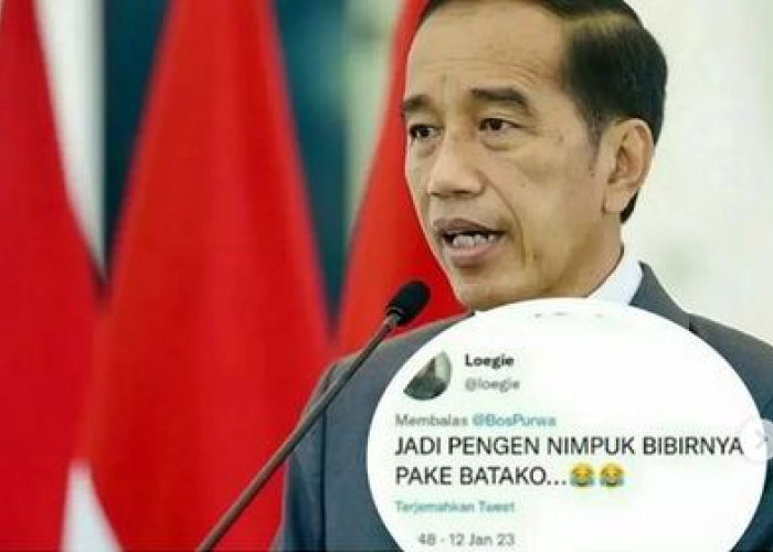 'Pengen Nimpuk Bibir' Presiden Jokowi, Karyawan UNIBI Dipecat