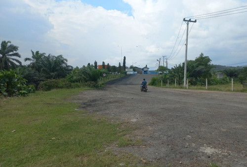 Petani Sawit “Purik”, Pabrik TBS di Bengkulu Selatan Tak Operasi