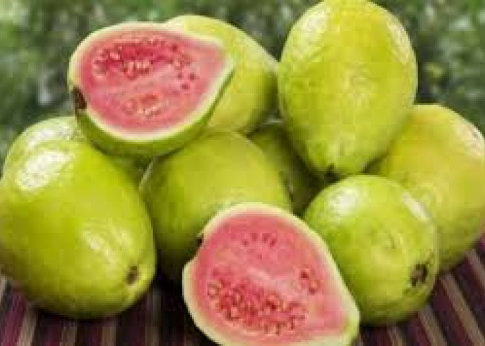 Jambu Biji: Superfood Tropis Kaya Vitamin C, Ini Manfaat dan Risikonya yang Perlu Anda Tahu