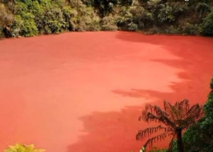 Danau Unik di Kawasan Bukit Raje Mandare Bengkulu, Simpan Mustika Merah Delima, Ini Buktinya