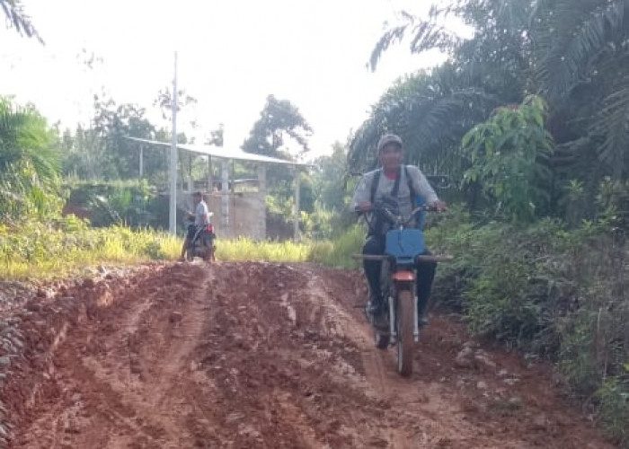 Akses Jalan ke Transmigrasi Tanjung Aur II Memprihatinkan, Guru dan Warga Menjerit