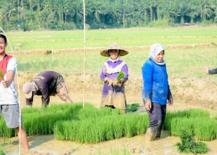 Kementan Luncurkan Program Petani Milenial, Gaji Rp 10 Juta per Bulan, Usia Minimal 19 Tahun