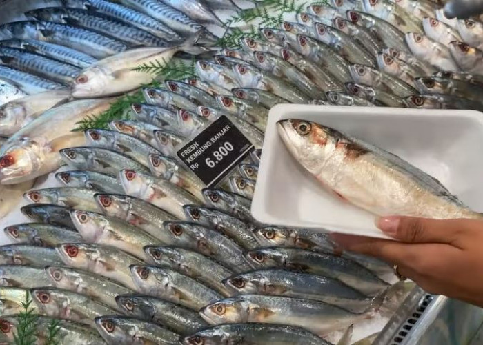 Meski Murah, Ikan Ini Kaya akan Protein dan Omega-3! Bagus untuk Tumbuh Kembang Anak