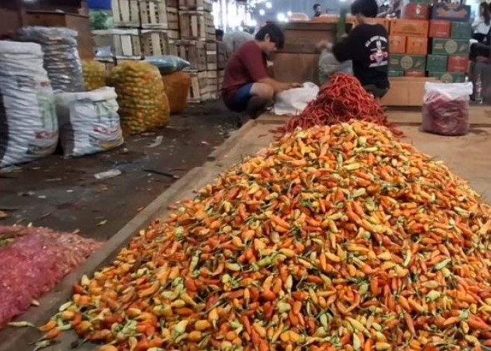 Kabar Baik Petani Cabai! Harga Cabai Rawit Merah Melonjak, Tembus Rp 70 Ribu Per Kilogram