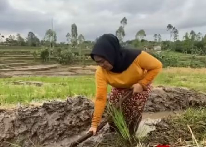 Membuat Lelaki Lupa Pulang, Lima Kampung Janda Di Indonesia, Dari Umur 14 Hingga 70 Tahun Ada Janda Musiman 