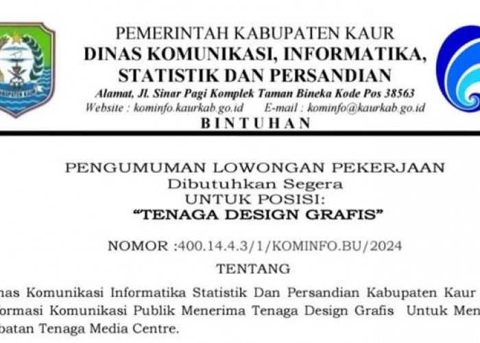 Dinas Kominfo Kaur Buka Lowongan Kerja Desain Grafis! Ini Syarat dan Besaran Honornya