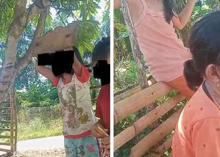  Astagfirullah! Murid SD di Bengkulu Selatan Jadi Korban Bullying Oknum Guru, Sebut Anak Babi