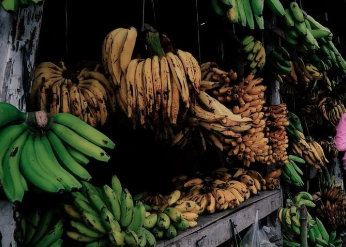 Wajib Tahu! Warna Kulit Pisang Berpengaruh Kandungan Gizinya, Mana yang Lebih Baik?