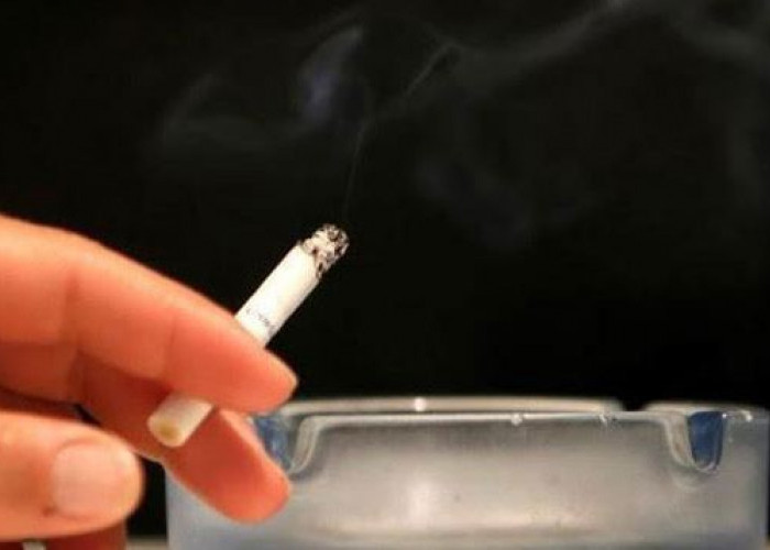 Anda Perokok? Siap-siap Harga Rokok Naik per 1 Januari 2023, Besarannya 10 Persen