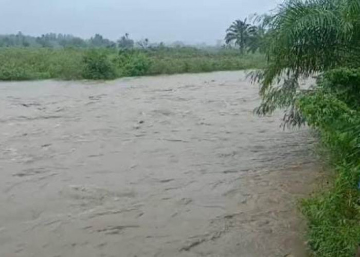 BREAKING NEWS : 4 Perempuan di Bengkulu Selatan Terseret Arus Sungai Air Kedurang, Begini Kondisinya