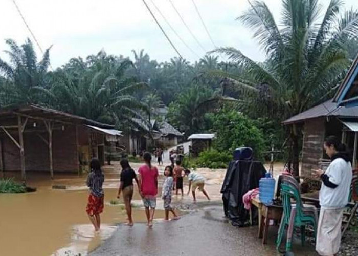 Atasi Banjir, Desa Cinto Mandi Butuh Talud