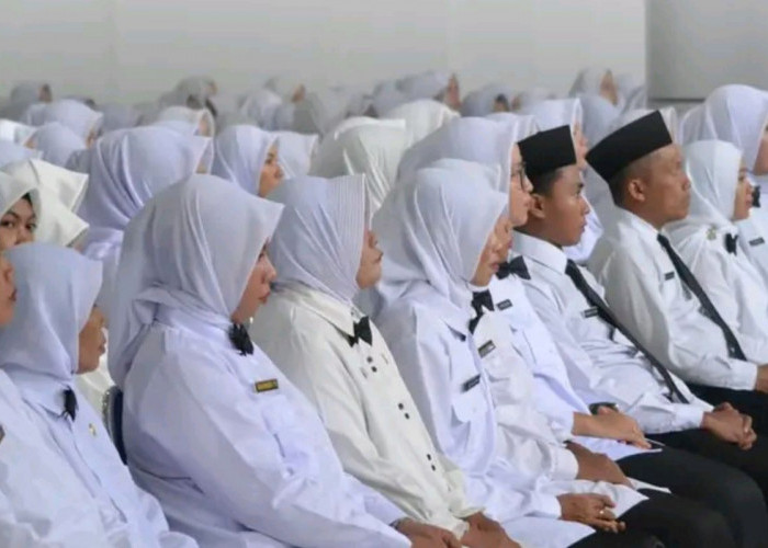 Pendaftaran PPPK 2024 Tahap 2 Dimulai Hari Ini, Honorer Harus Bijak Menghindari Kesalahan