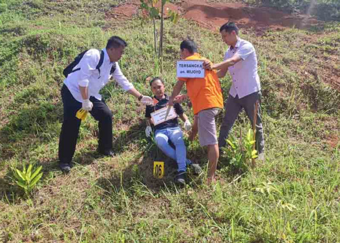 Kasus Pembunuhan di Kebun Kopi Talang Cawang, Tak Mampu Nahan Emosi, Tetangga Ditusuk Hingga Meninggal