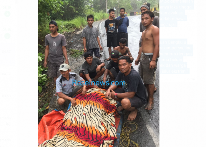 BREAKING NEWS: Tebing Batu Lampung Makan Korban Lagi, Mobil Pupuk Subsidi Terjun ke Jurang, Sopir MD