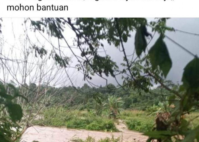 BREAKING NEWS: Warga Seginim Terjebak Banjir, BPBD Bengkulu Selatan Terjunkan Perahu
