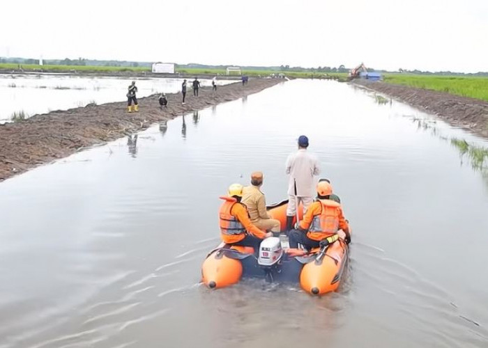 Maaf! Program Cetak Sawah di Bengkulu 2025 Ditunda, Perbaikan Irigasi dan Pengolahan Rawa Belum Pasti