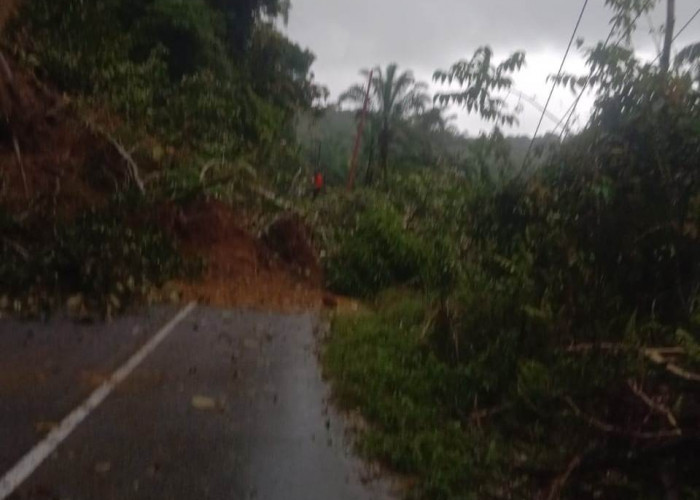 Duh...Longsor Bengkulu Selatan-Pagaralam Tutupi Jalan Sepanjang 13 Meter, Evakuasi Diprediksi Sampai Pagi