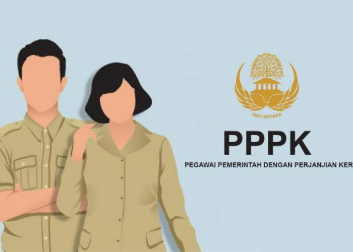 Jumlah Pelamar PPPK 2024 di Kabupaten Mukomuko 1.335, Berapa yang Sudah Submit?