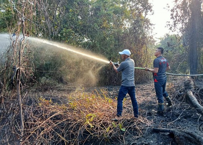 Sumber Api yang Membakar Hutan di Bengkulu Selatan Terungkap, Jangan Diulangi Lagi Ya! 