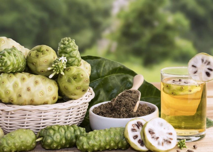 Manfaat Buah Mengkudu yang Didukung Penelitian Klinis: Menangkal Radikal Bebas hingga Menjaga Kesehatan Tubuh