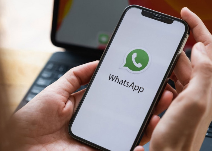 WhatsApp Hadirkan Tampilan Baru! Ikon Warna-warni Untuk Kontak dan Grup Obrolan