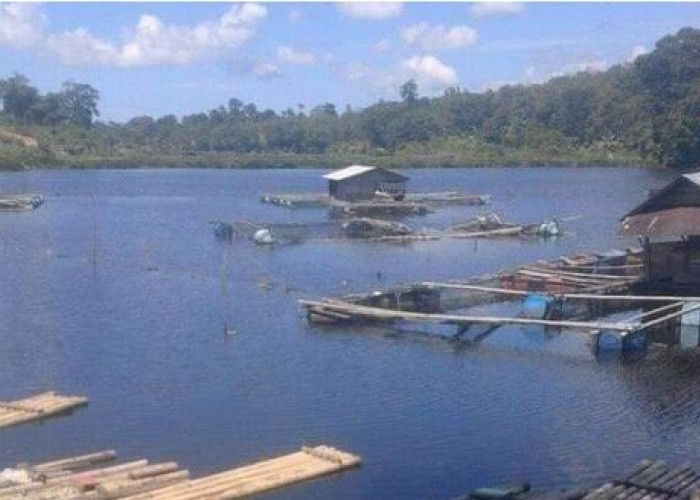 Danau Kuranding, Surga Tersembunyi di Desa Tanjung Beringin