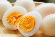 8 Manfaat Telur bagi Kesehatan Tubuh: Tingkatkan Imunitas, Jaga Otak hingga Bantu Menjaga Berat Badan Ideal