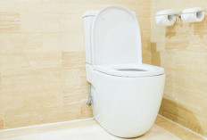 8 Rekomendasi Kloset Duduk Nyaman dan Efisien untuk Kamar Mandi, Harga Ramah di Kantong