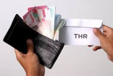 THR ASN 2026 Resmi Cair, Pemerintah Gelontorkan Rp55 Triliun untuk PNS hingga Pensiunan