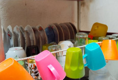 Tak Perlu Mahal, Ini Daftar Peralatan Rumah Wajib agar Hunian Nyaman Sejak Awal