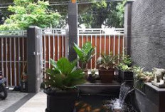 Teras Rumah 2026 Berubah Fungsi: Kolam Ikan Hias Jadi Elemen Relaksasi yang Kian Diminati