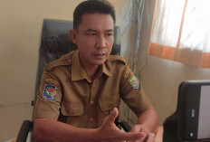 Potensi PAD Bocor, Ratusan Ribu Kendaraan di Kaur Masih Gunakan Pelat Luar Daerah